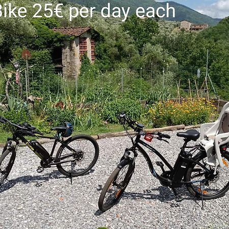 La Stanza Del Sole Pensionat Matraia Exteriör bild